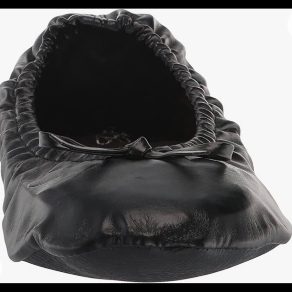 Women's Foldable Portable Travel Ballet Flat Shoes w/Matching Carrying Case - Picture 3 of 7